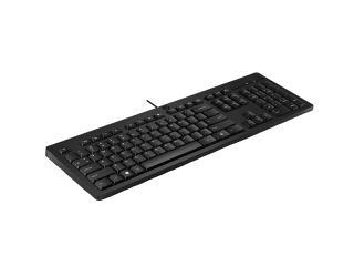 Клавиатура проводная HP 125 G2 USB Black