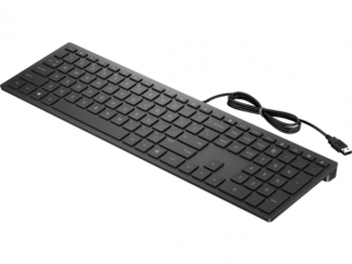 Клавиатура проводная HP 300 USB Black