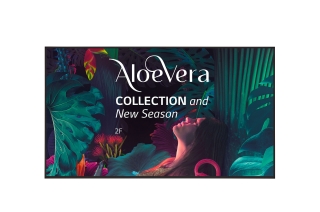 Профессиональный дисплей 55" LG 55UH5N-E