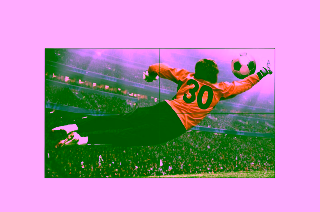 Видеостенный дисплей 49" LG 49VL5G-M