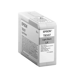 Картридж Epson T850700 Light Black