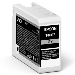 Картридж Epson T46S7 Gray