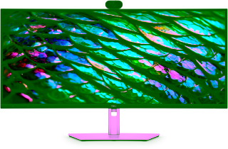 Монитор 34.1" Dell P3426WEB